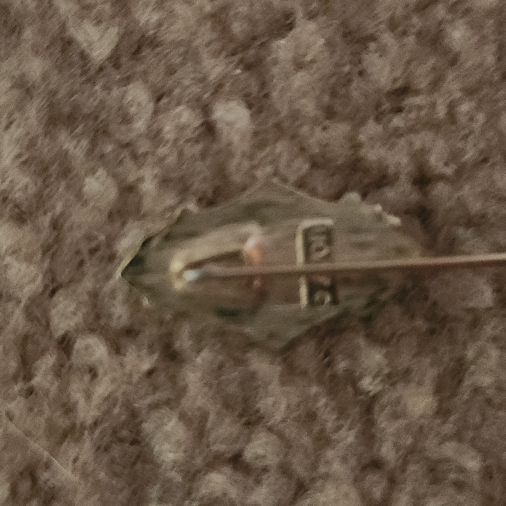 Vintage Avon stick pin - Picture 3 of 4